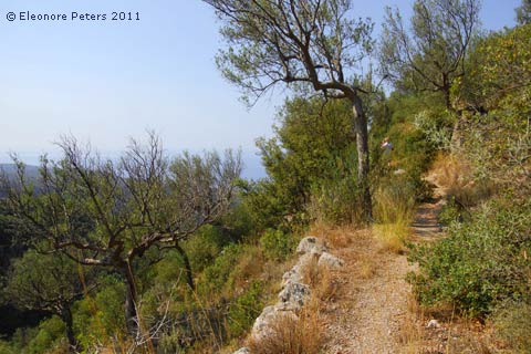 Wanderweg