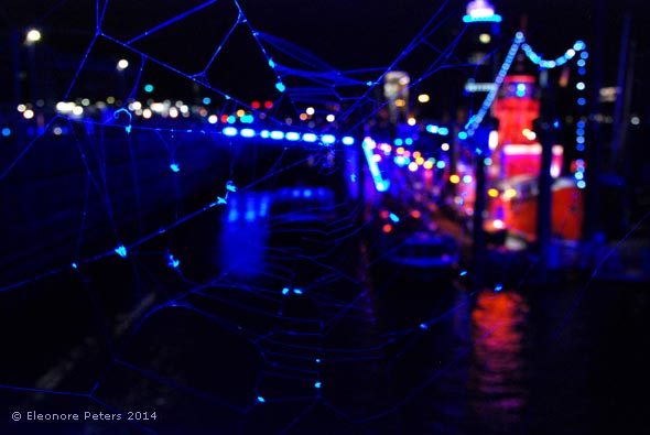 Hamburg Hafen Blue Night Spinnenweben