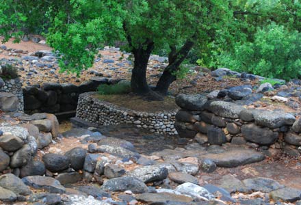 Dan im Naturreservat