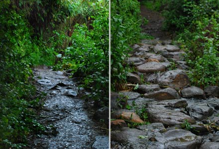 Naturreservat Banias