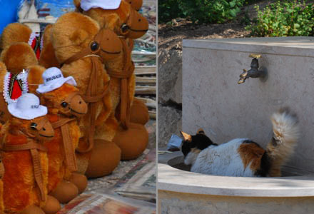 Stoffkamele und Katze