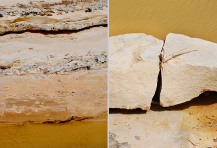 Canyon Ein Avdat Israel