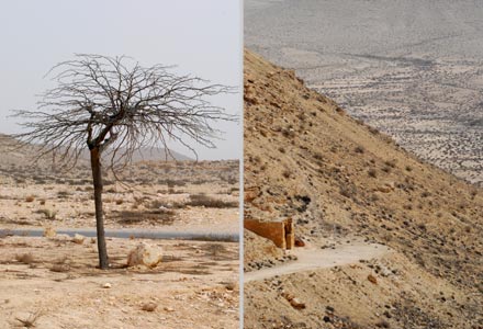 Hinweis auf die arabische (nabatäische) Vergangenheit. 