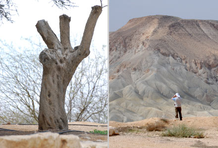 Blick auf Berge der Negev Wüste