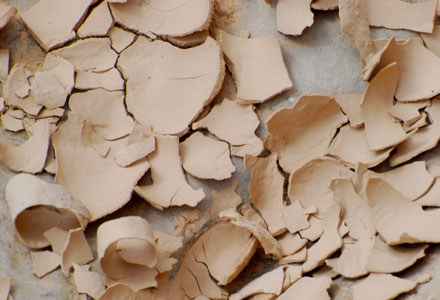 Canyon Ein Avdat Israel