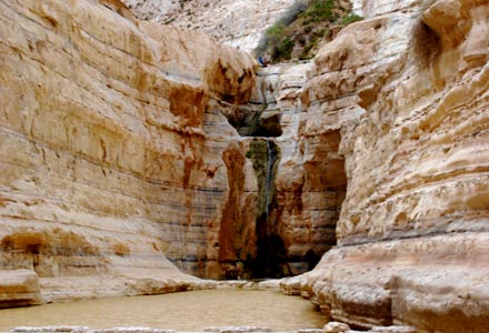 Canyon Ein Avdat Israel