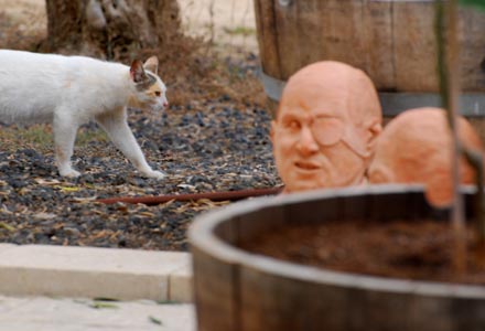 Katze und Kopf von Moshe Dayan