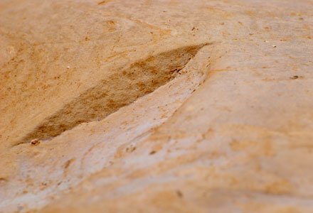 Canyon Ein Avdat Israel