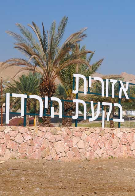 Palme Negev Wüste