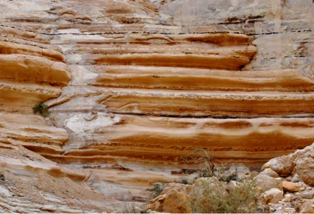 Canyon Ein Avdat Israel