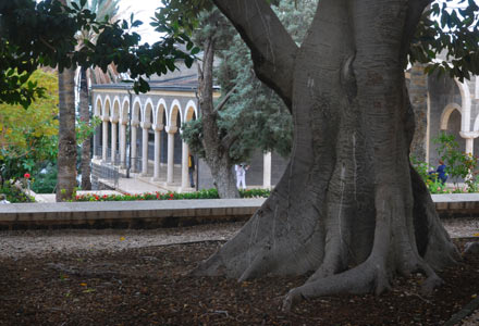 Berg der Seligpreisung