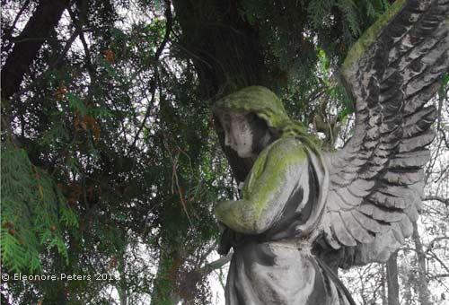 Friedhof Rakowicki, Engel
