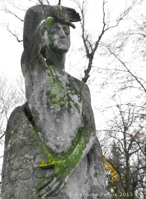 Friedhof Rakowicki, männlicher Engel