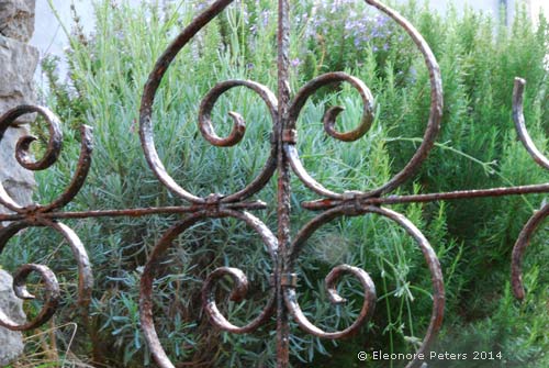 Garten mit Lavendel und Rosmarin