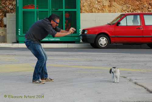 Katzenfotograf