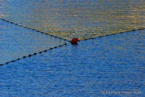 geteiltes Wasser