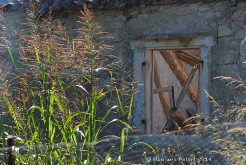 Hausruine