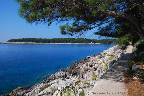 Ostküste 