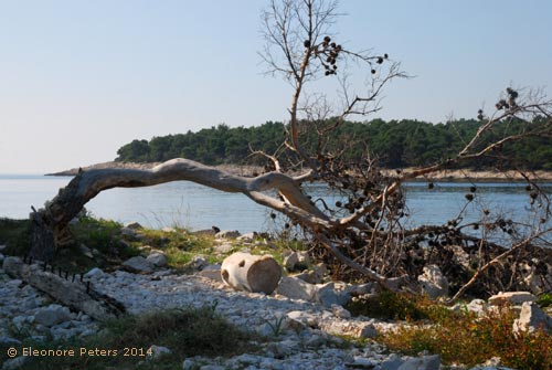 Nordspitze des südlichsten Teil von Losinj