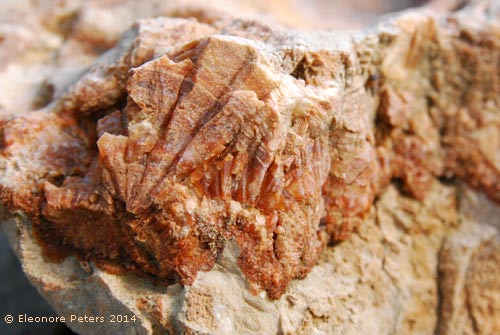 Quarzgestein mit Eisenoxyd durchsetzt