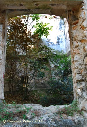 Hausruine