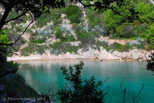 Bucht mit Agaven