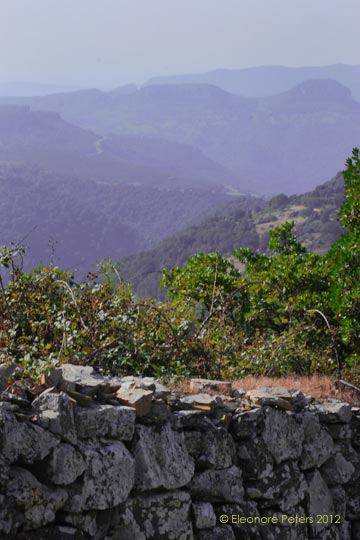 Berge um Aritzo