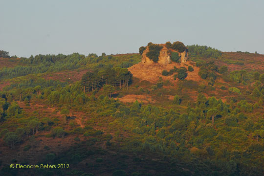 Felsen