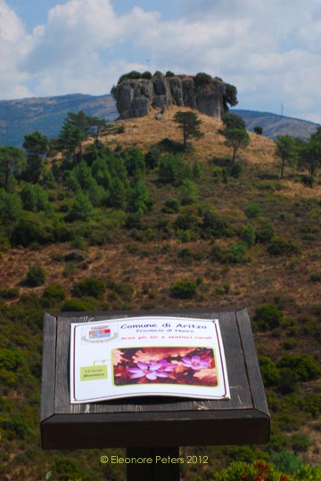 Felsen