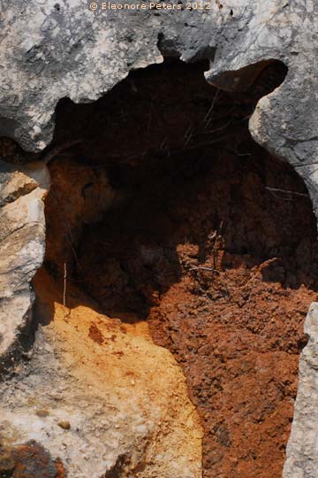 Gestein am Höhenweg über Cala Gonone