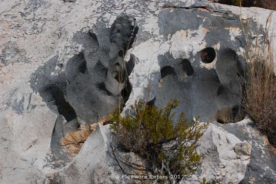 Gestein am Höhenweg über Cala Gonone