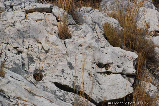 Gestein am Höhenweg über Cala Gonone