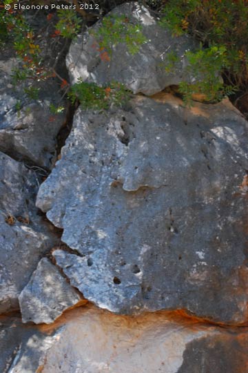 Gestein am Höhenweg über Cala Gonone