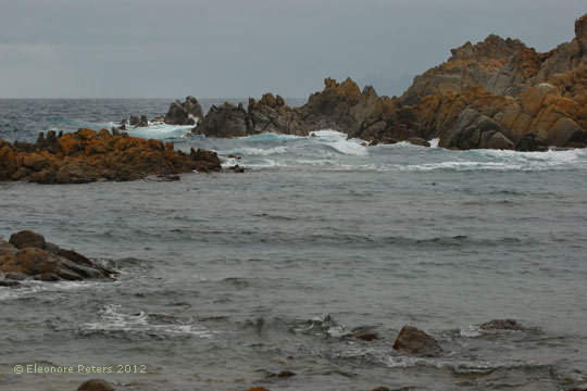 Felsen im Meer