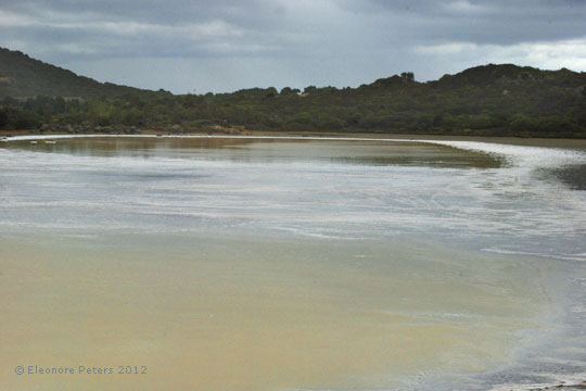 Salzsee