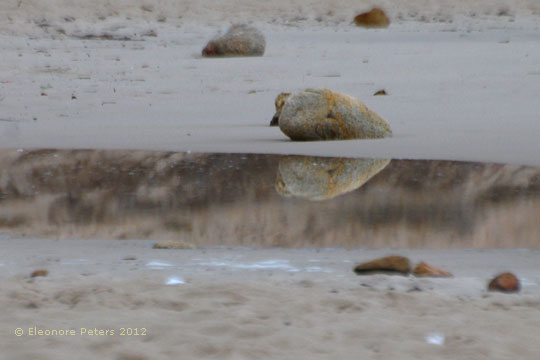 Sand und Steine