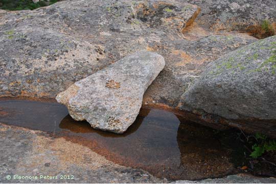 Gallura Granitfelsen