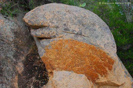 Gallura Granitfelsen