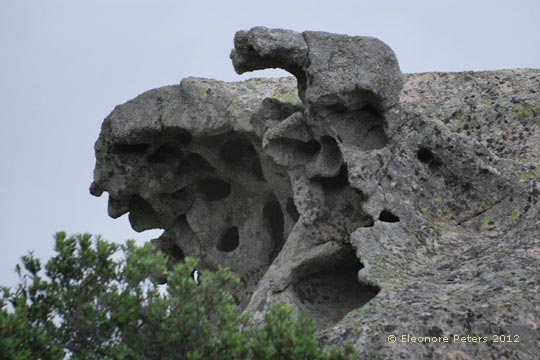 Felsen in der Gallura