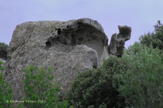 Felsen in der Gallura