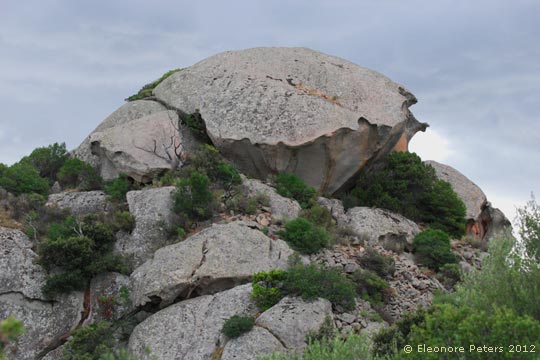 Felsen in der Gallura