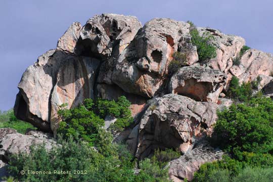 Felsen in der Gallura