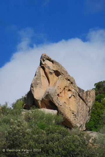 Felsen in der Gallura