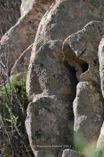 Felsen in der Gallura