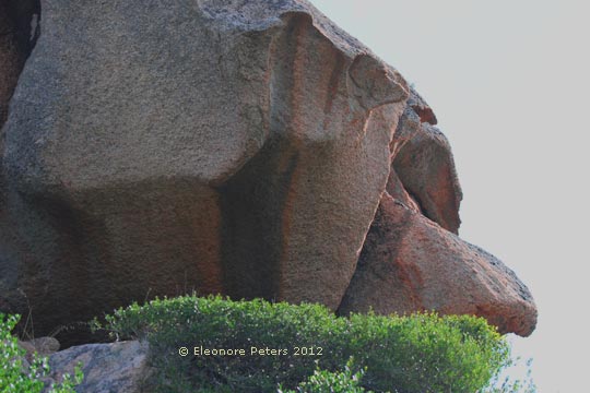 Felsen in der Gallura