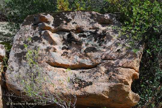 Felsen in der Gallura
