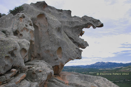 Narrenkopf aus Stein