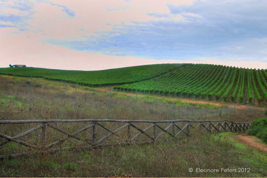 Feld in der Nähe des Gigantengrabs