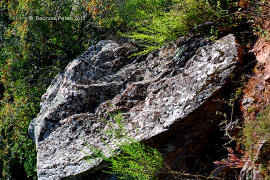 Gestein am Weg zum Monte Minerva-Plateau