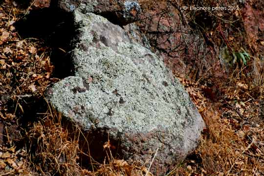 Gestein am Weg zum Monte Minerva-Plateau